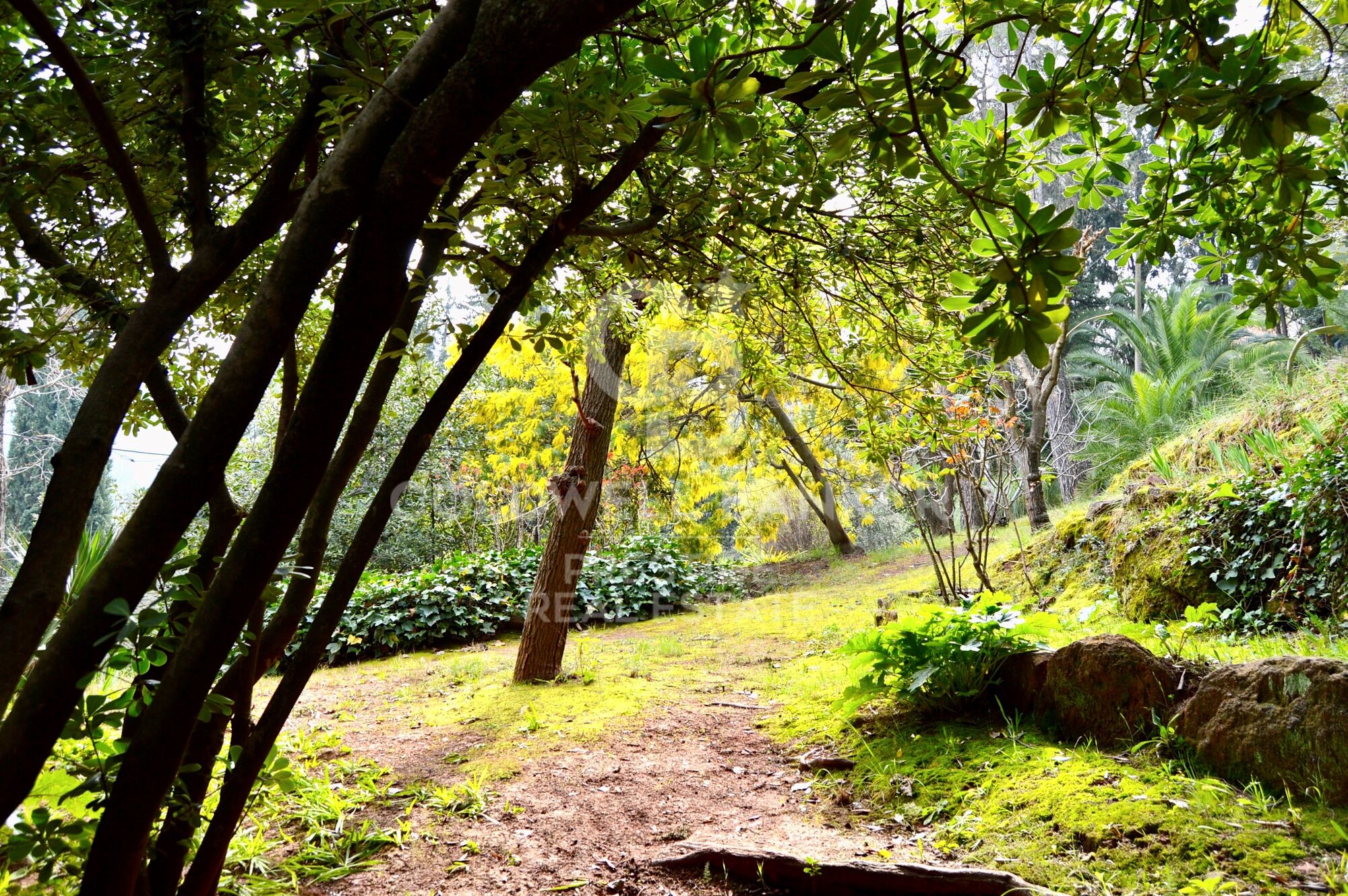Encantadora propiedad rodeada de naturaleza y viñedos en Castellví de Rosanes