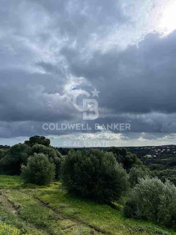 Building land in Sotograndre