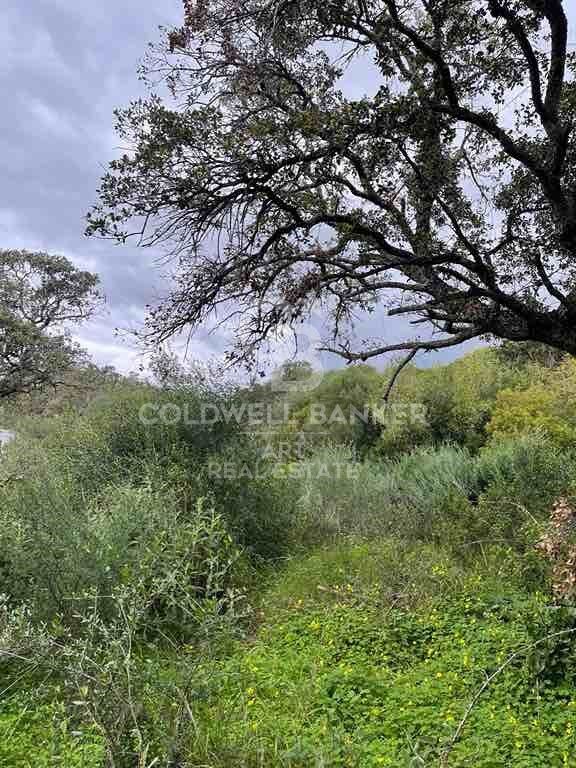 Building land in Altos de Valderrama