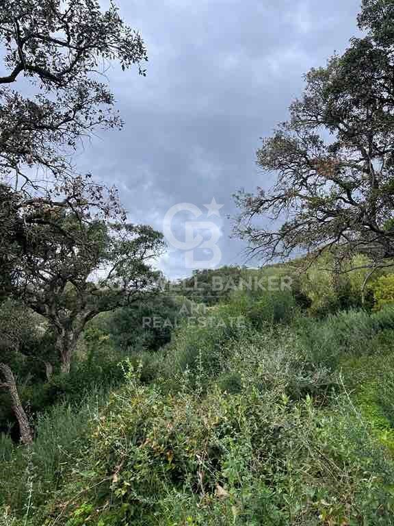 Building land in Altos de Valderrama