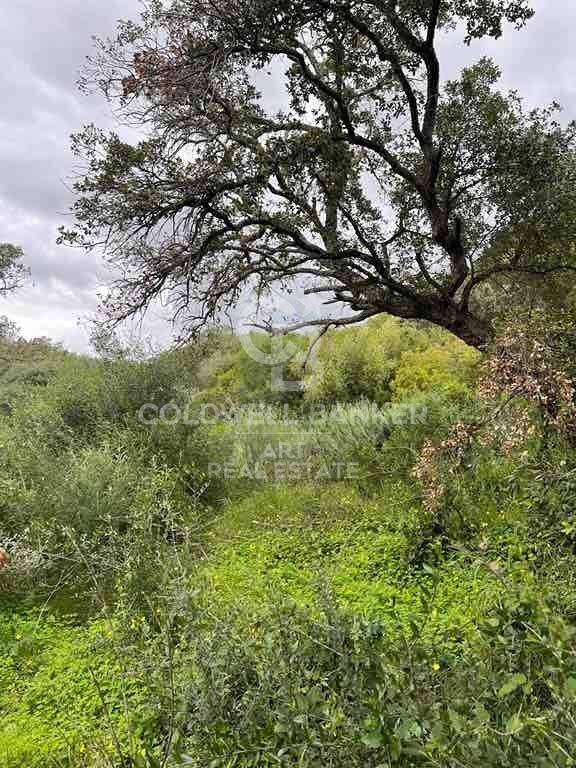 Building land in Altos de Valderrama
