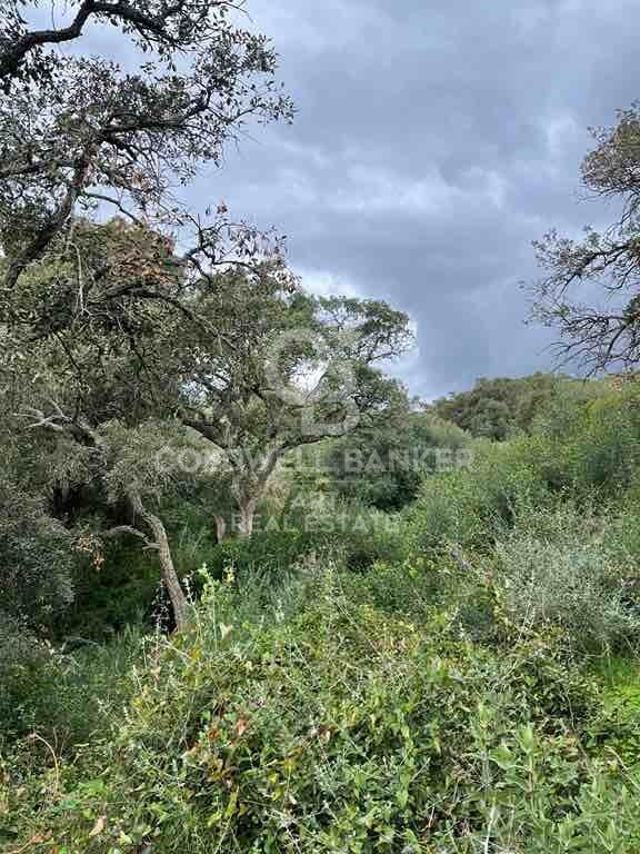 Building land in Altos de Valderrama