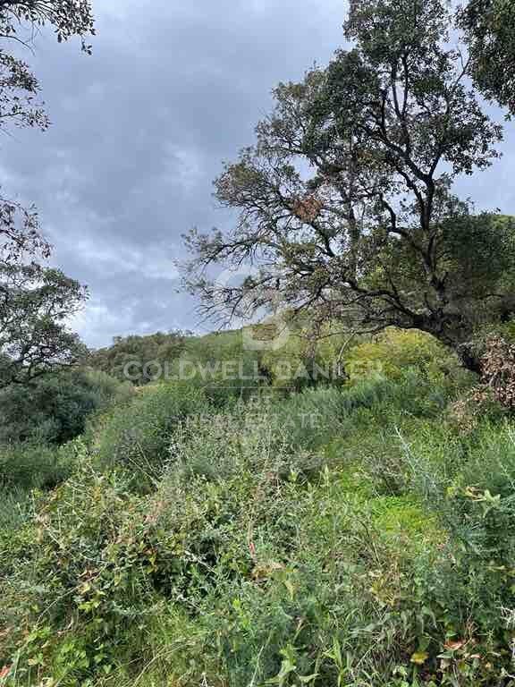 Building land in Altos de Valderrama