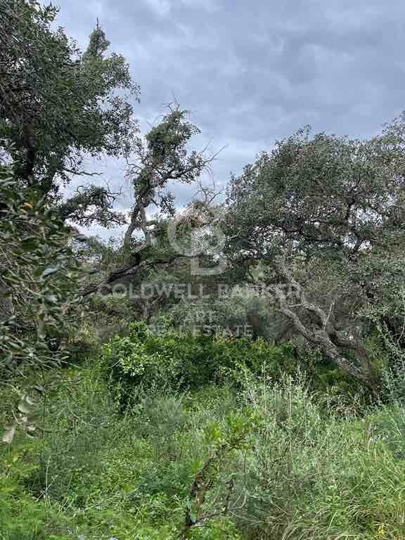 Terreno urbanizable en Altos de Valderrama