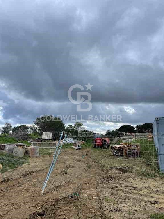 Parcela edificable en Sotogrande