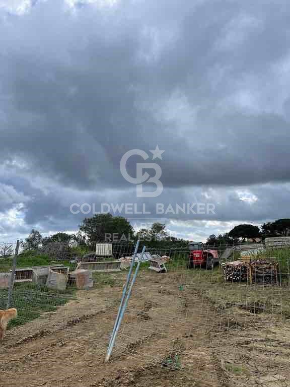 Parcela edificable en Sotogrande