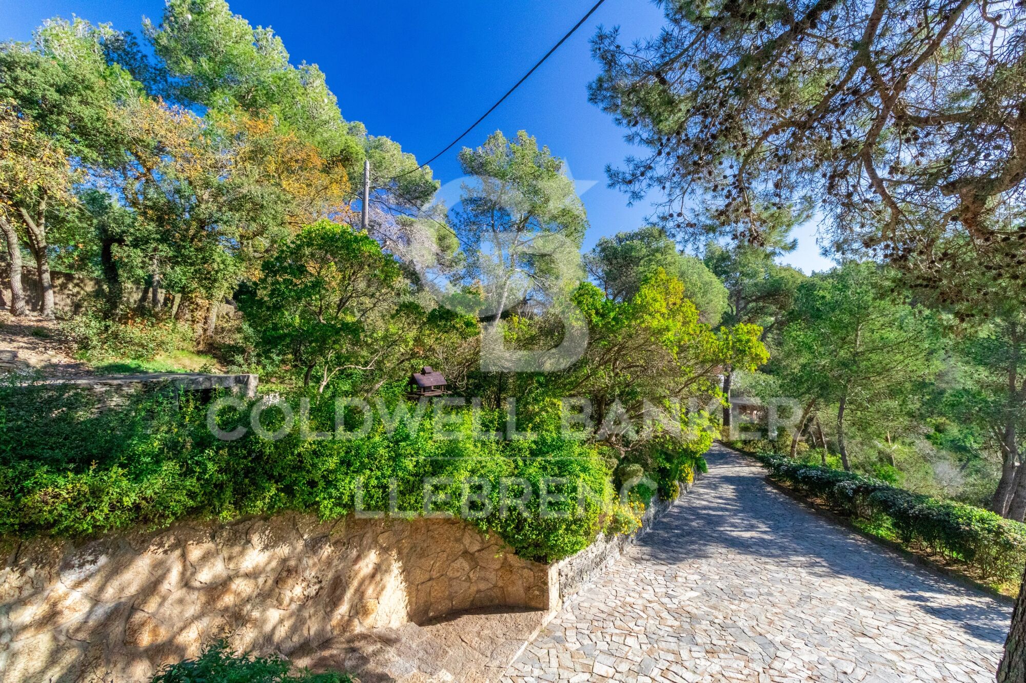 Preciosa casa con un gran terreno en venta en la carretera de Vallvidrera a Molins de Rei