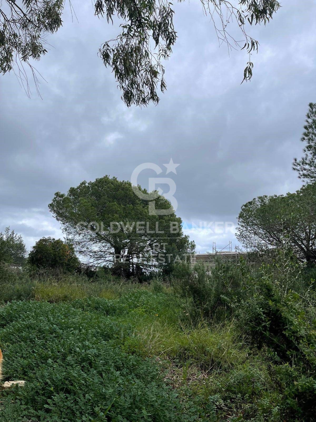 Parcela urbanizable en Sotogrande