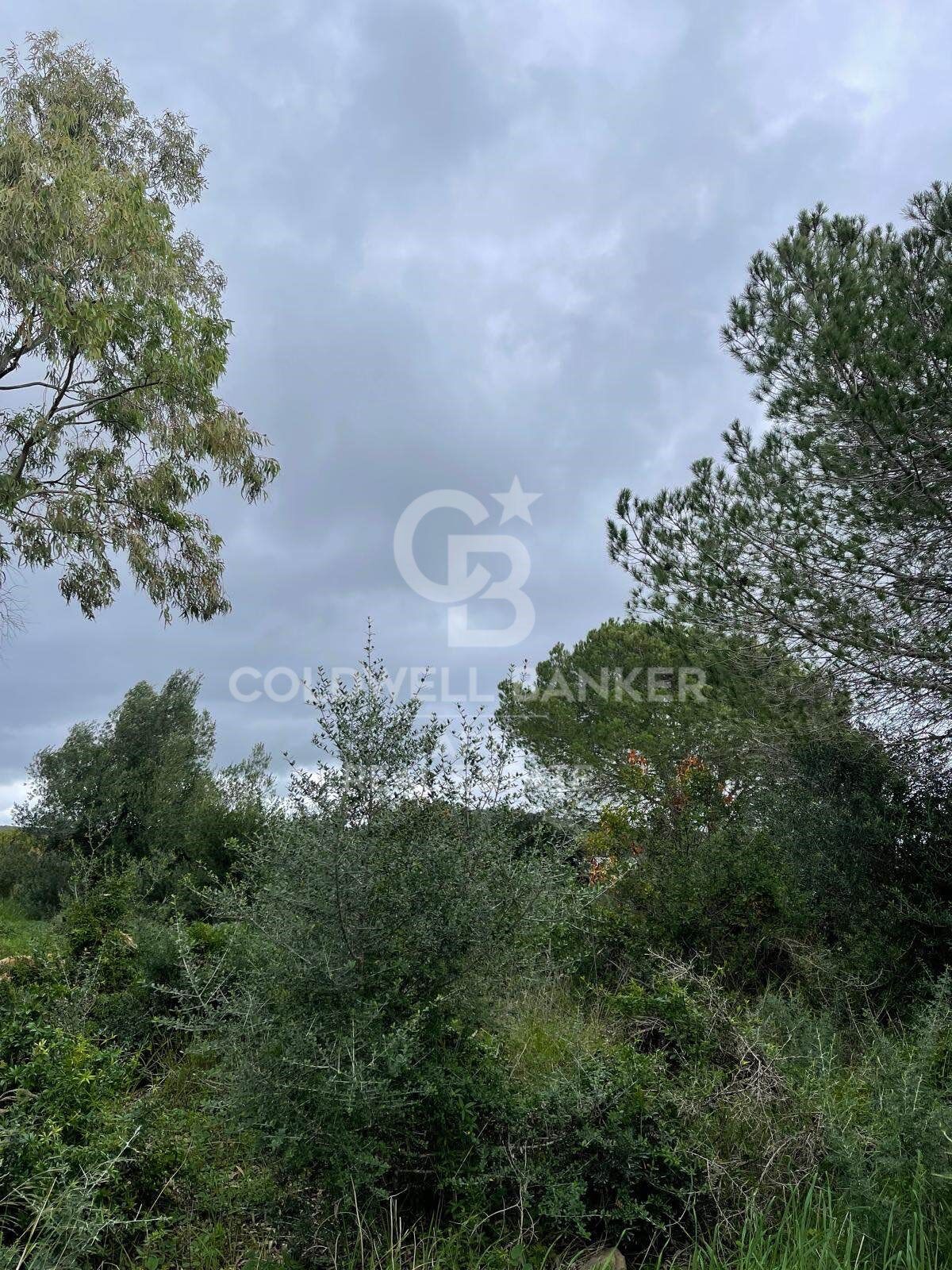 Building plot in Sotogrande