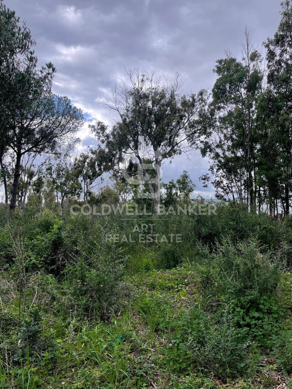 Building plot in Sotogrande