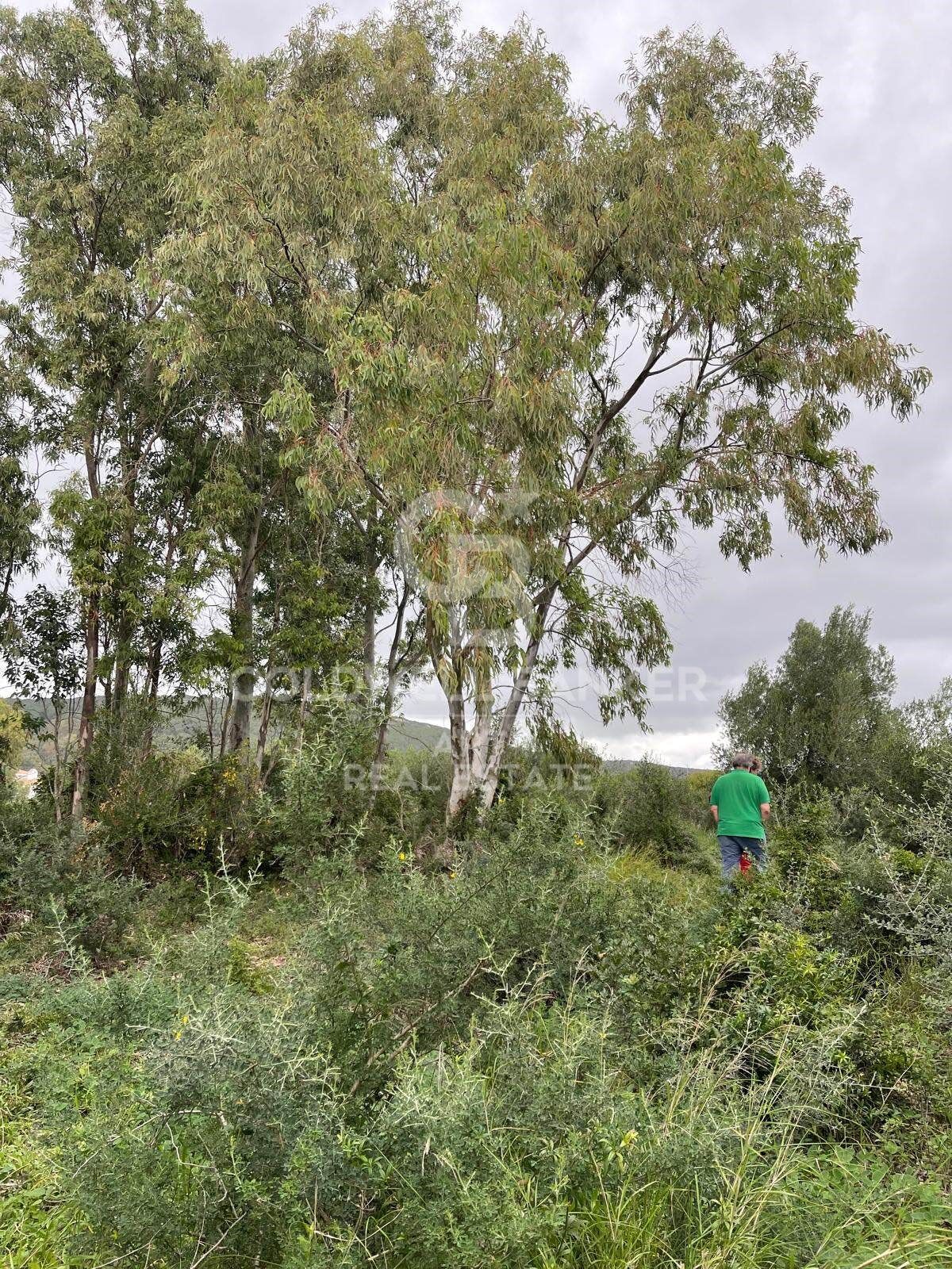 Building plot in Sotogrande