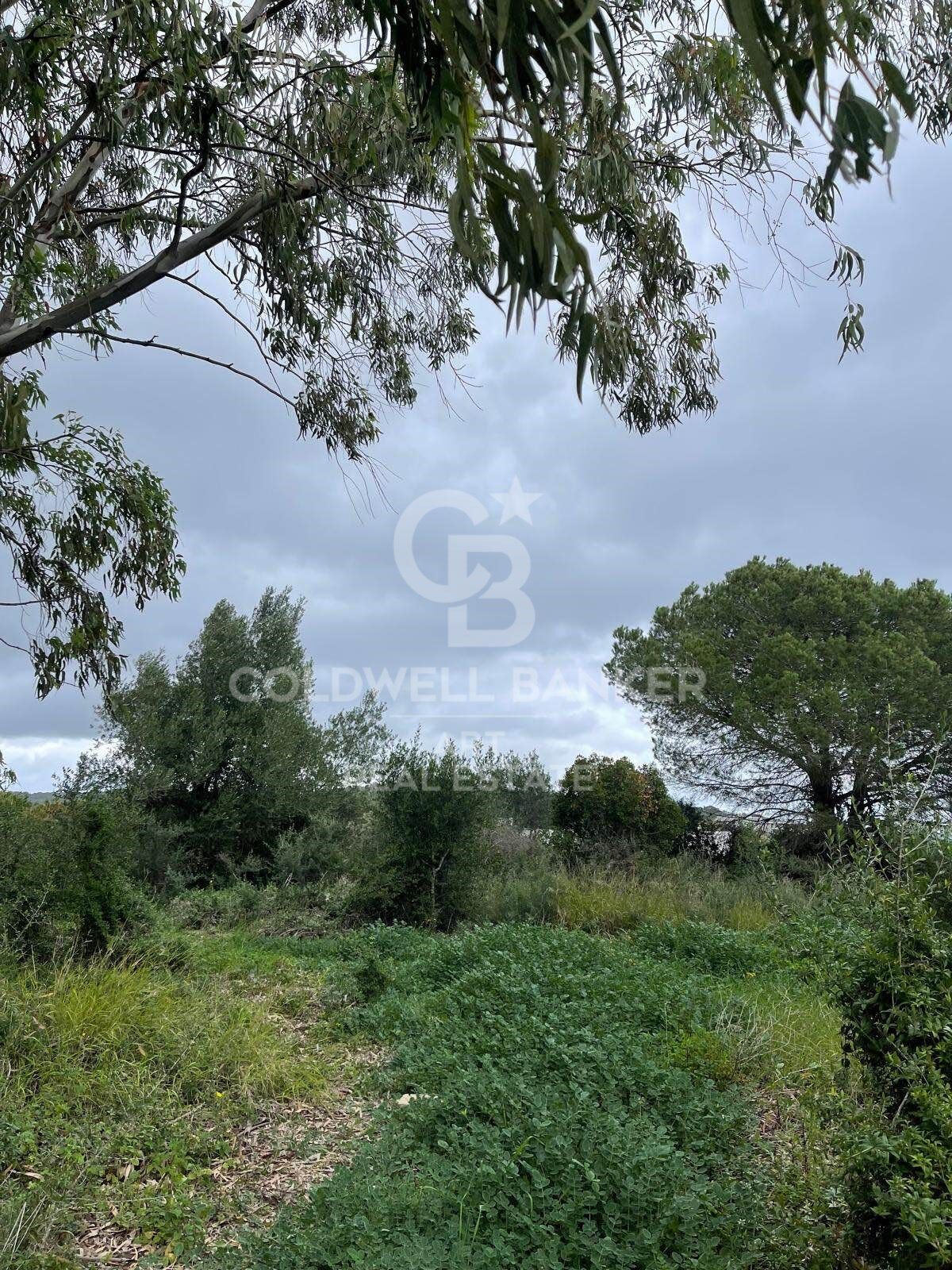 Building plot in Sotogrande