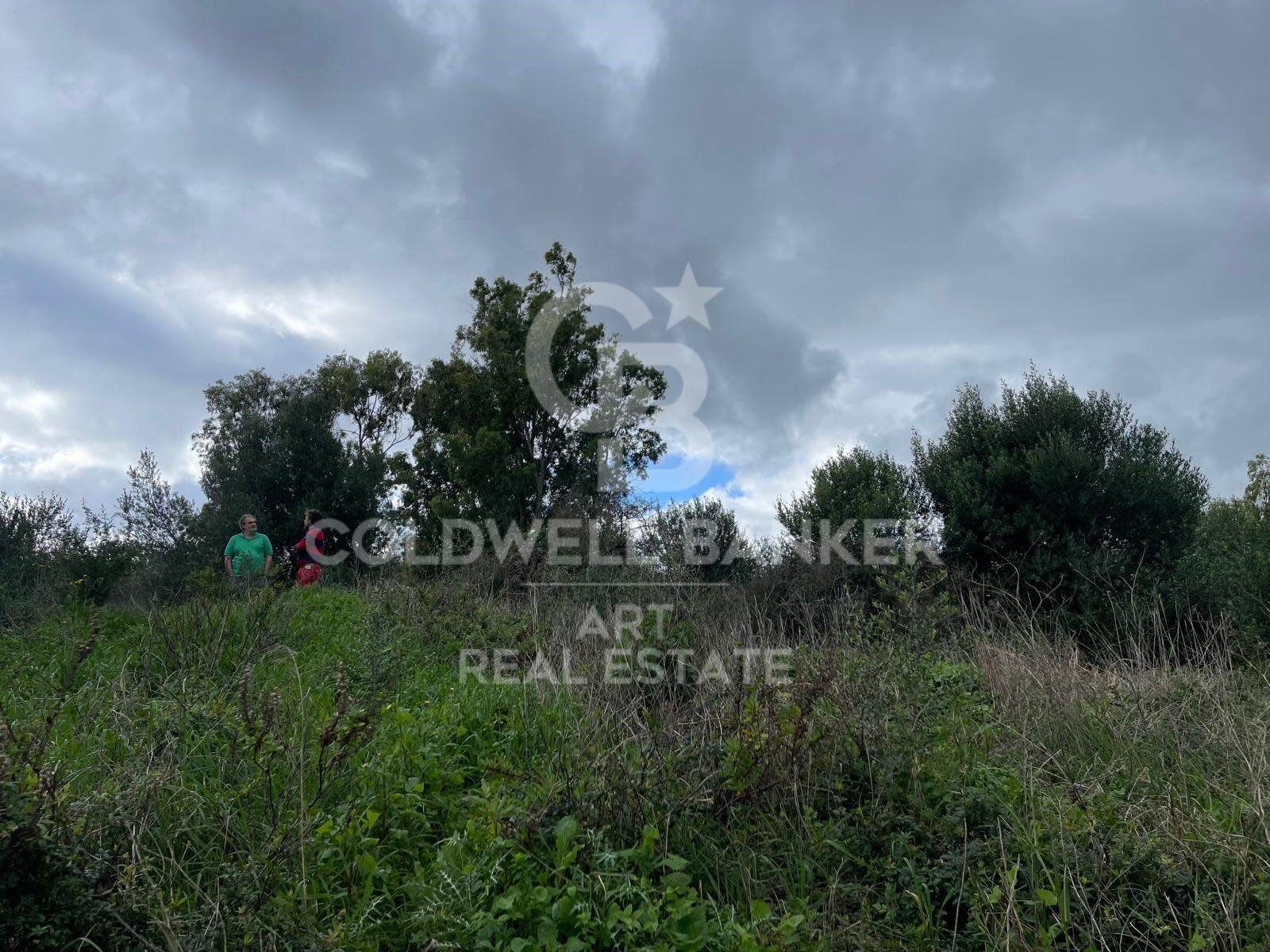 Terrain à bâtir à Sotogrande