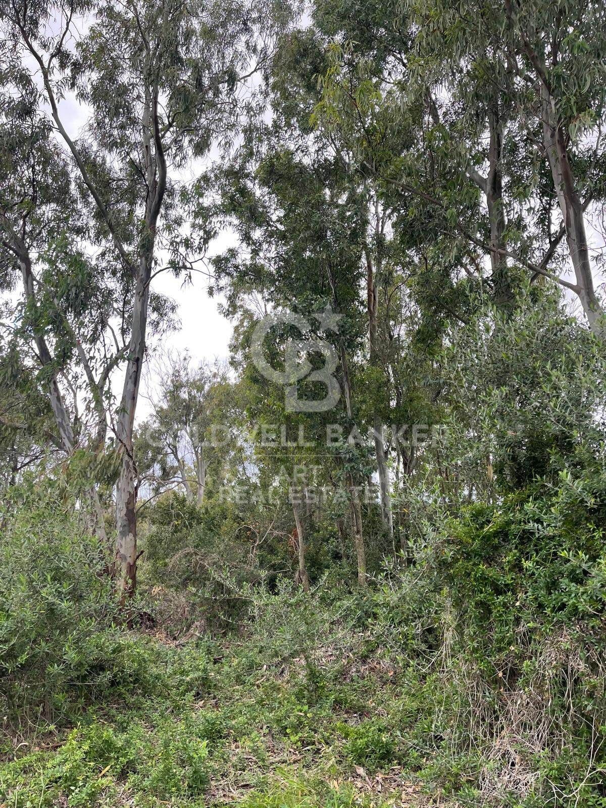 Building plot in Sotogrande