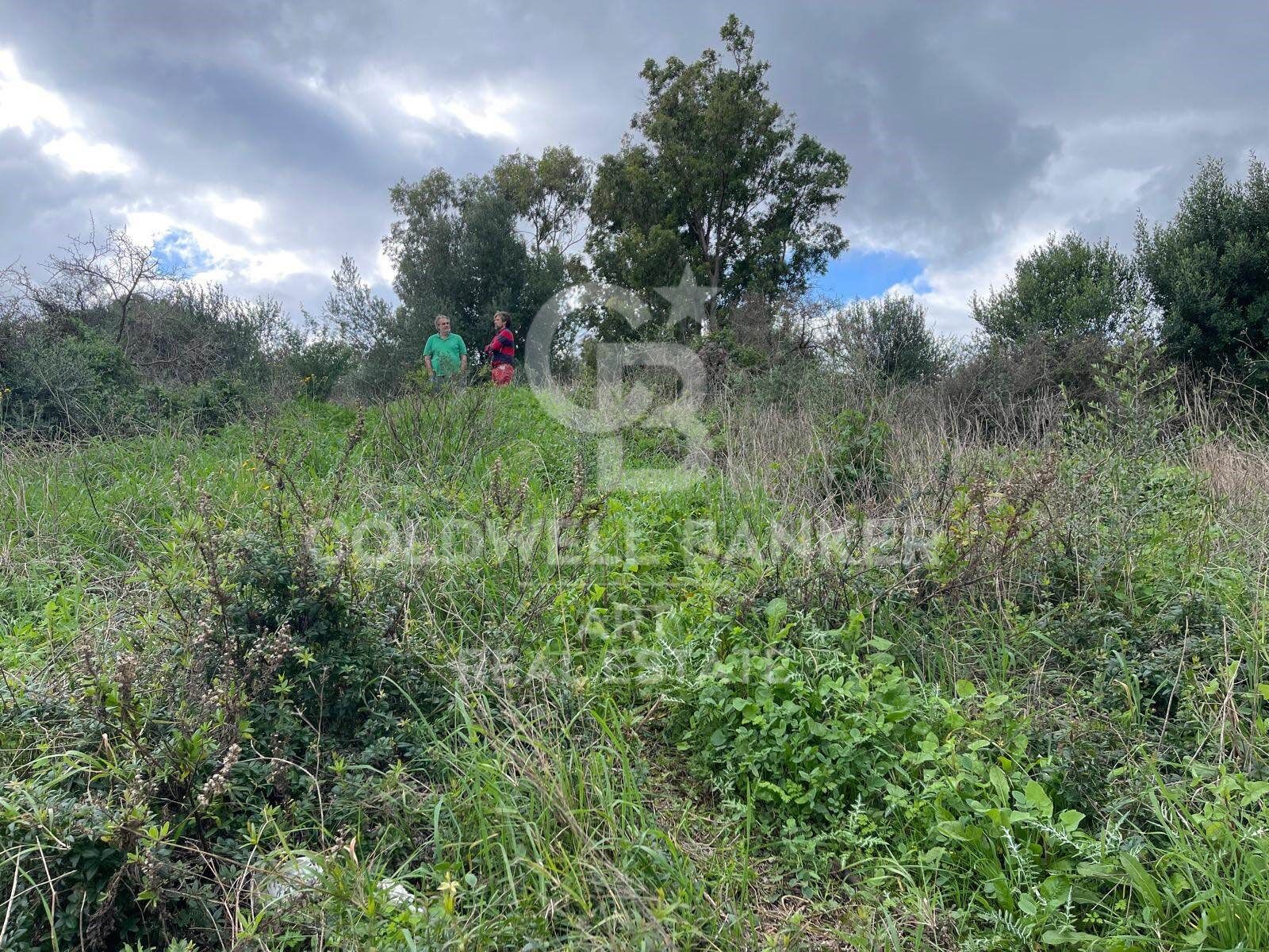 Building plot in Sotogrande