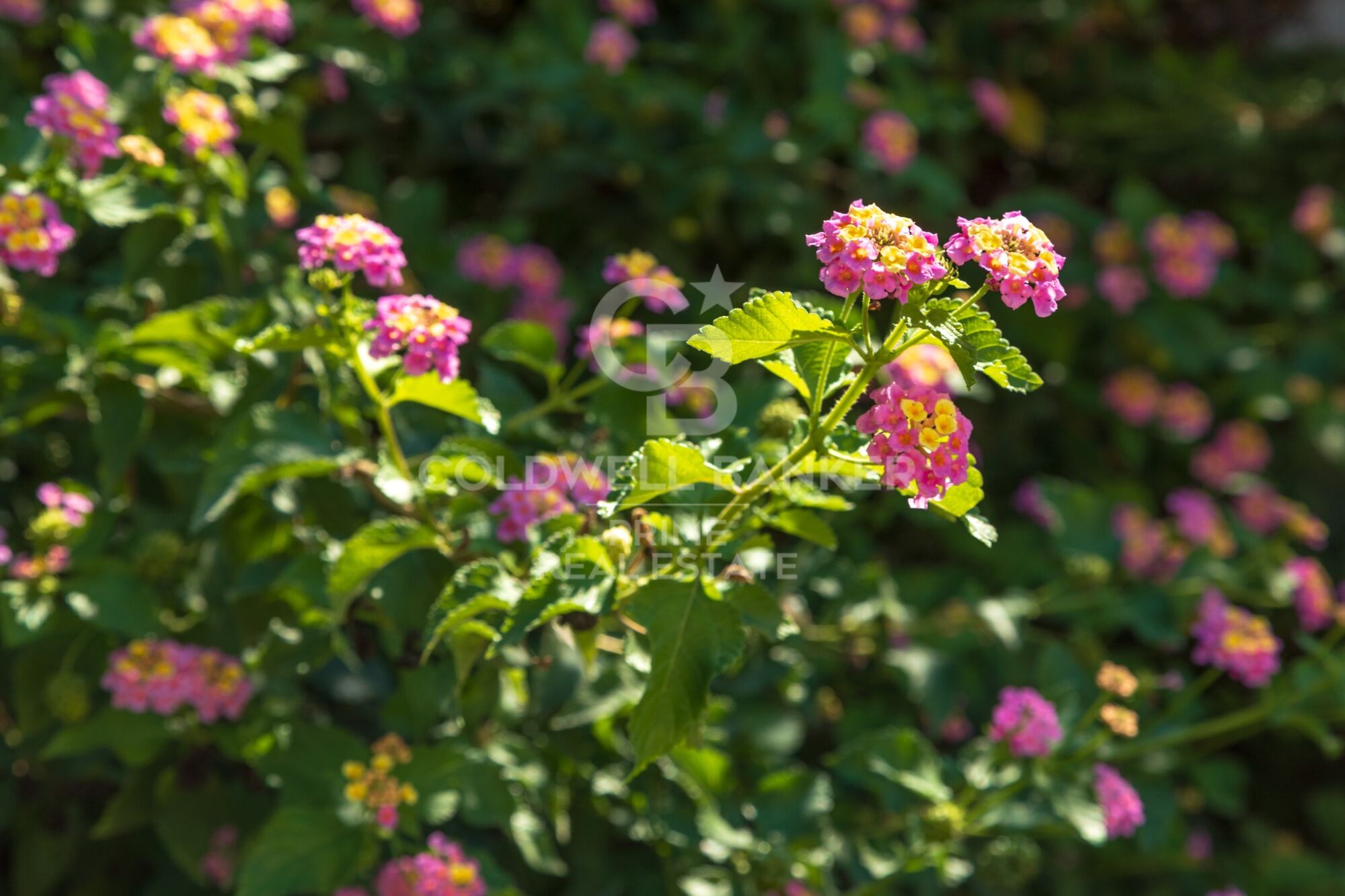 Exquisite Luxury and Comfort in a Single-Family Home for Sale in Residencial Begur