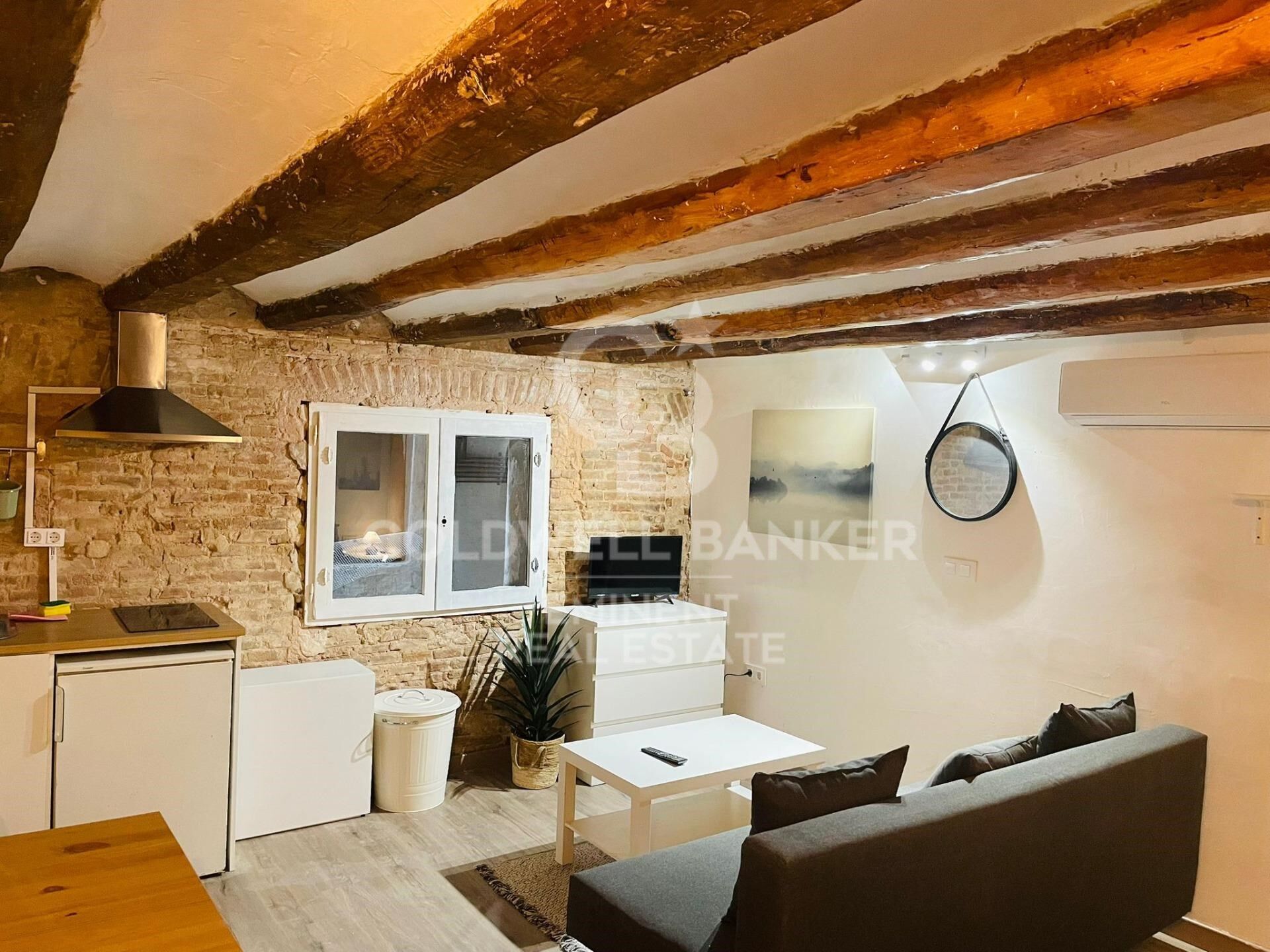 Lot de 9 Appartements Loft Rénovés dans le Raval, Barcelone.