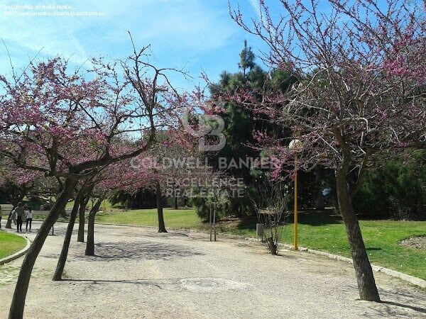 Tourist hostel with tourist license and 10% roi in Valencia.