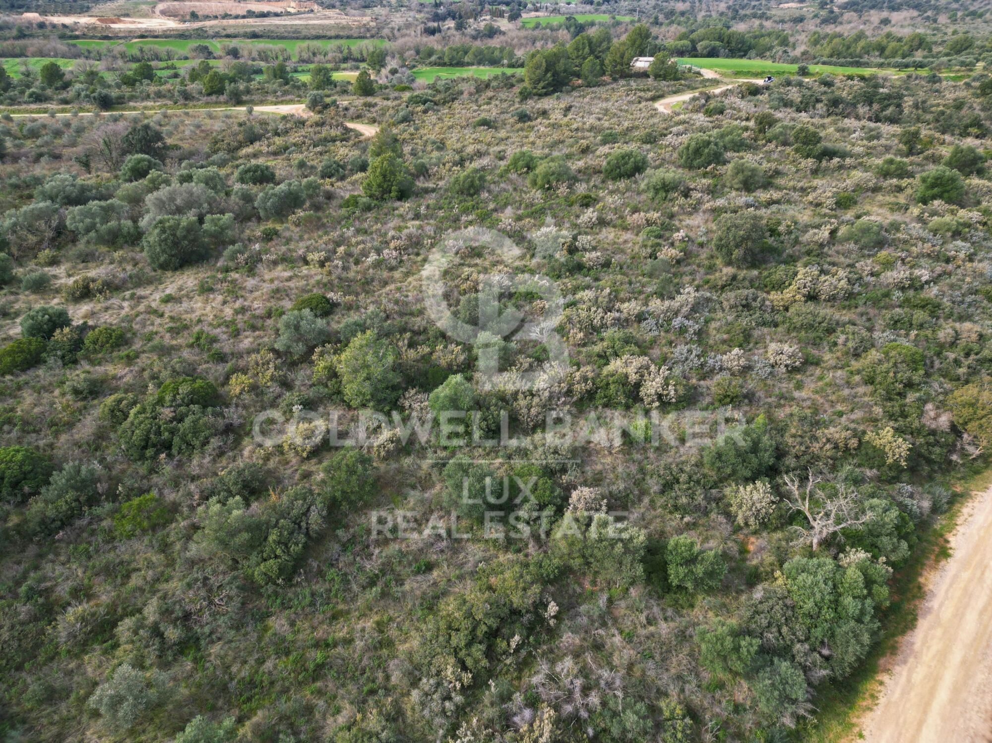 Ensemble de parcelles de 130 ha à la périphérie de Garriguella et Peralada