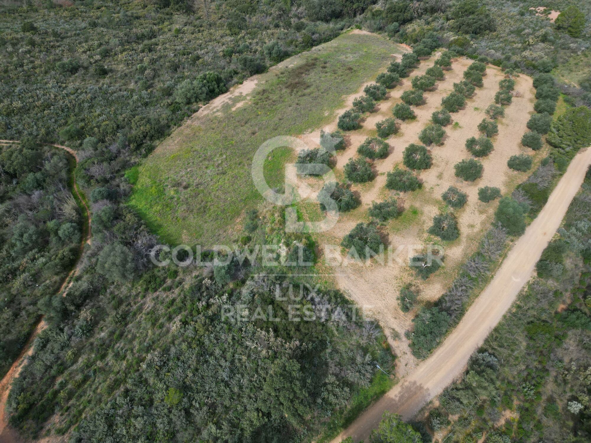 Conjunto de Parcelas de 130 ha en las afueras de Garriguella y Peralada