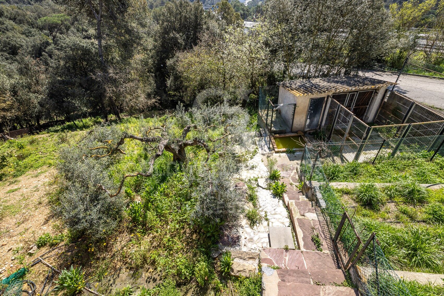 CHARMING HOUSE WITH A SEPARATE APARTMENT IN LA FLORESTA: