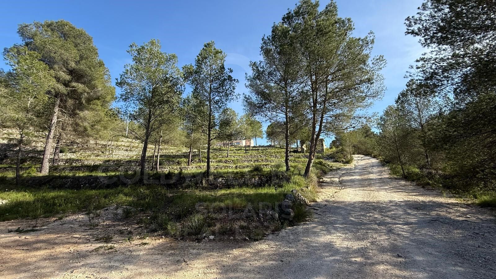 Finca de Nueva Construcción en Tarraula, Jávea