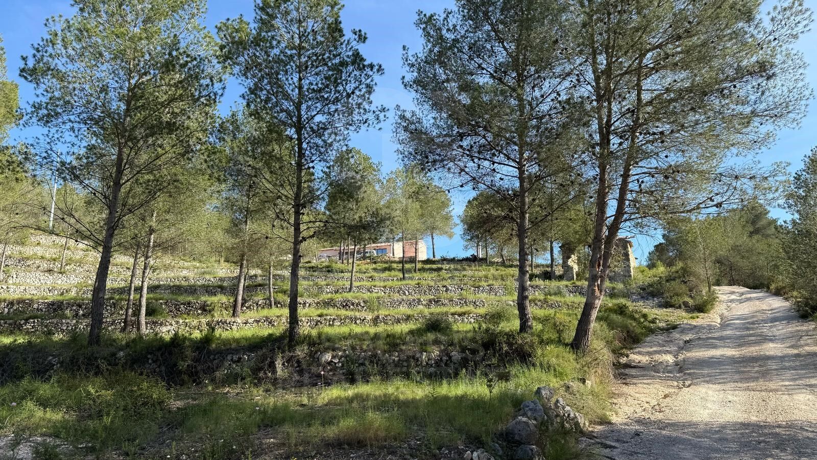 Neubau Finca in Tarraula, Jávea