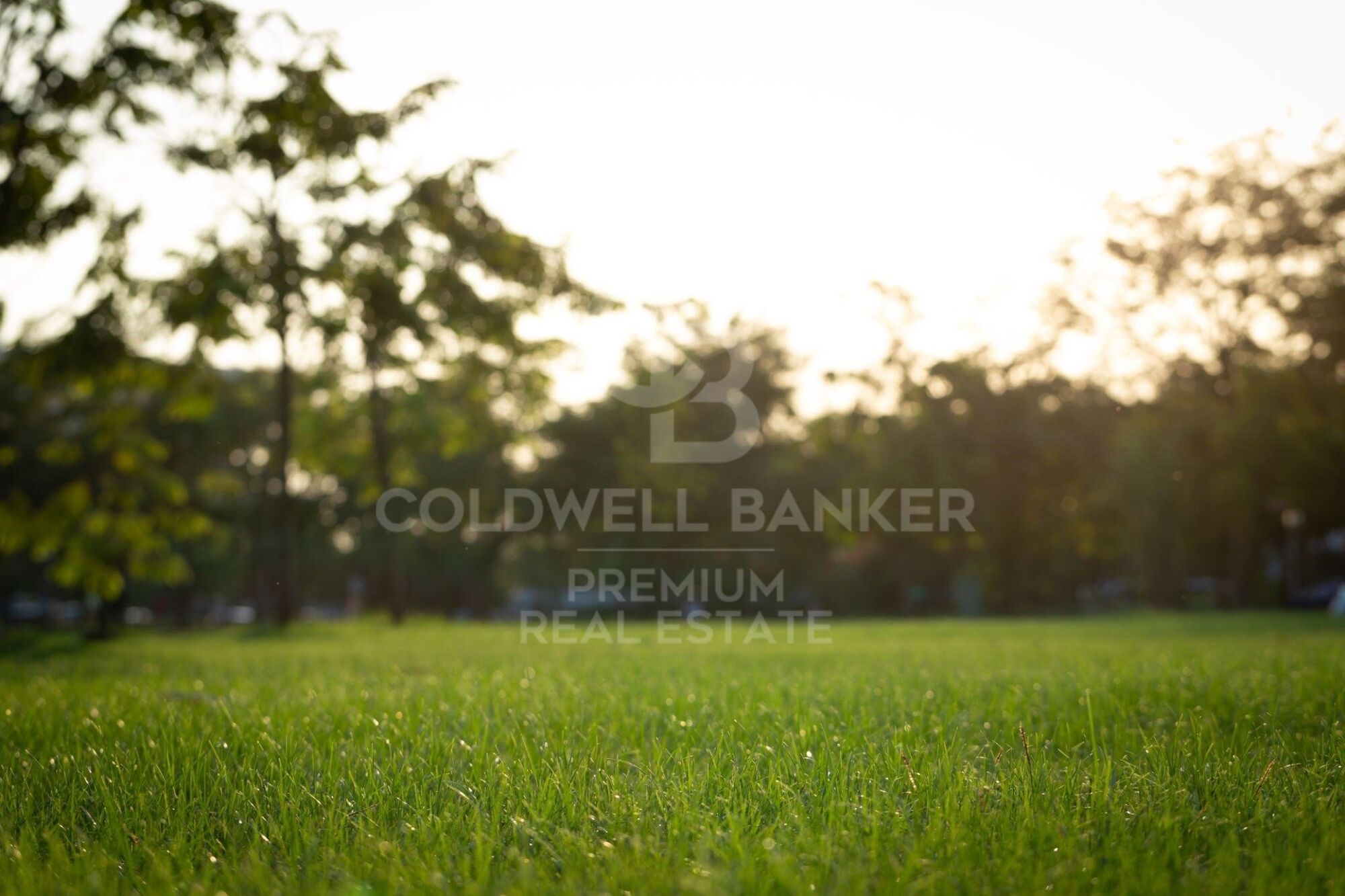 LAST FLAT PLOT IN EXCLUSIVE AND QUIET AREA OF BELLATERRA