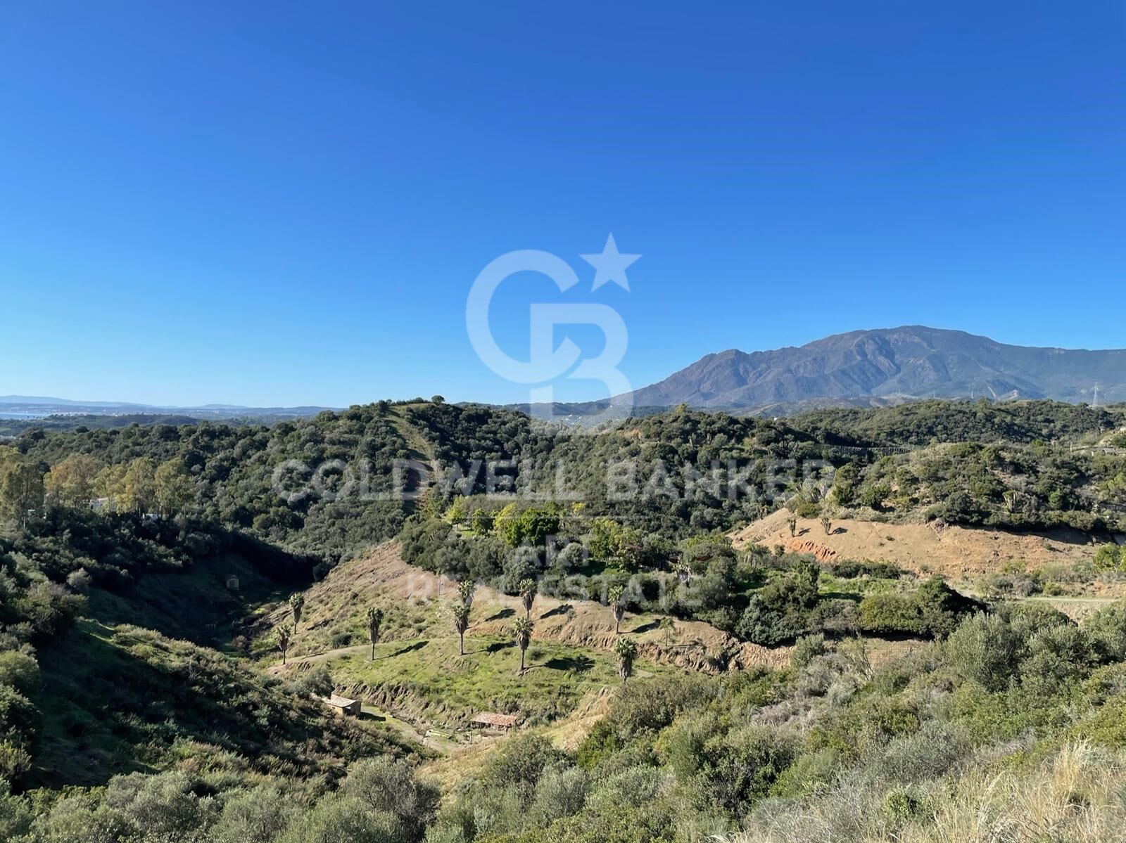 Spectacular building plots with incredible sea views in Estepona