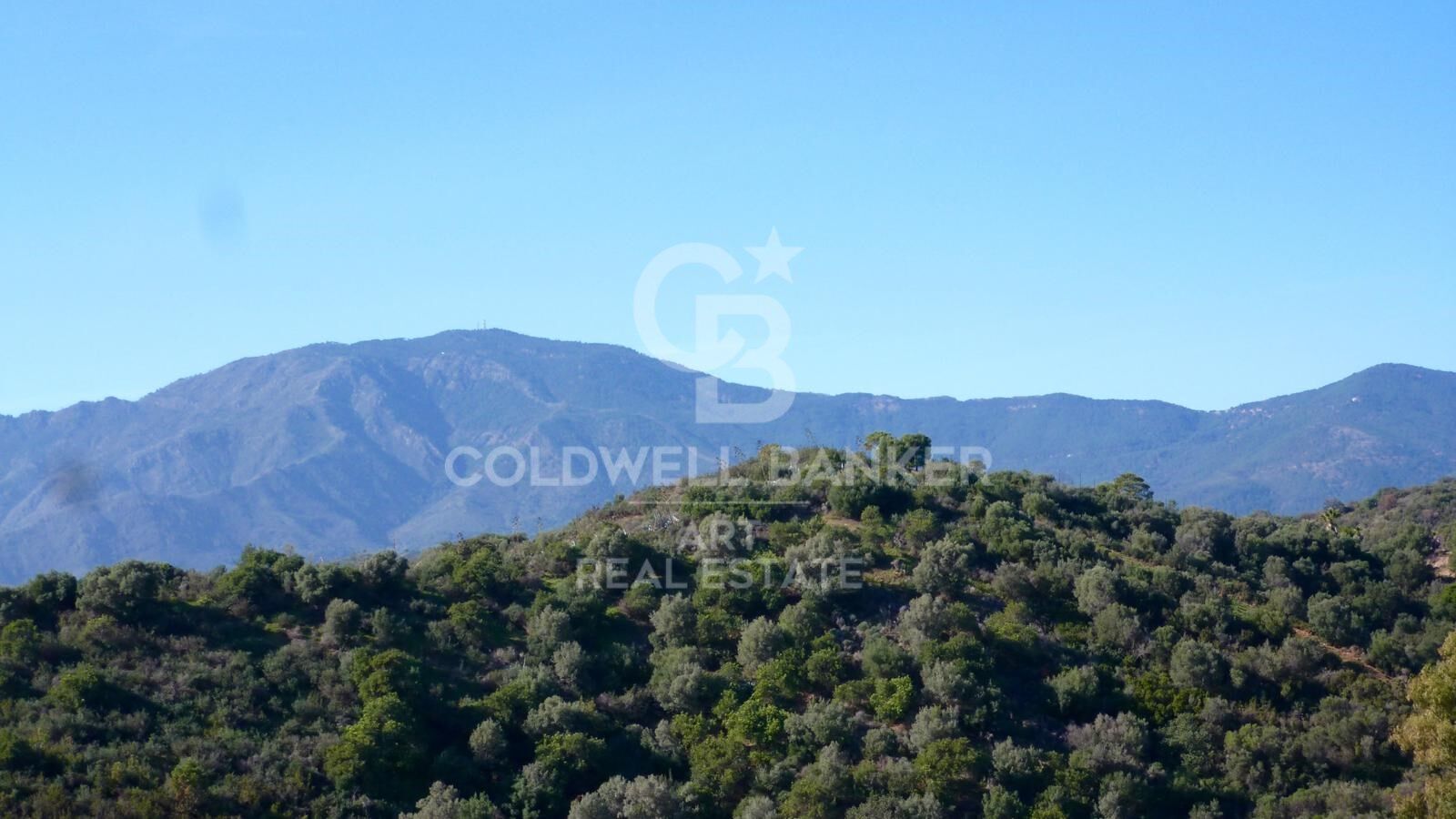 Spectacular building plots with incredible sea views in Estepona