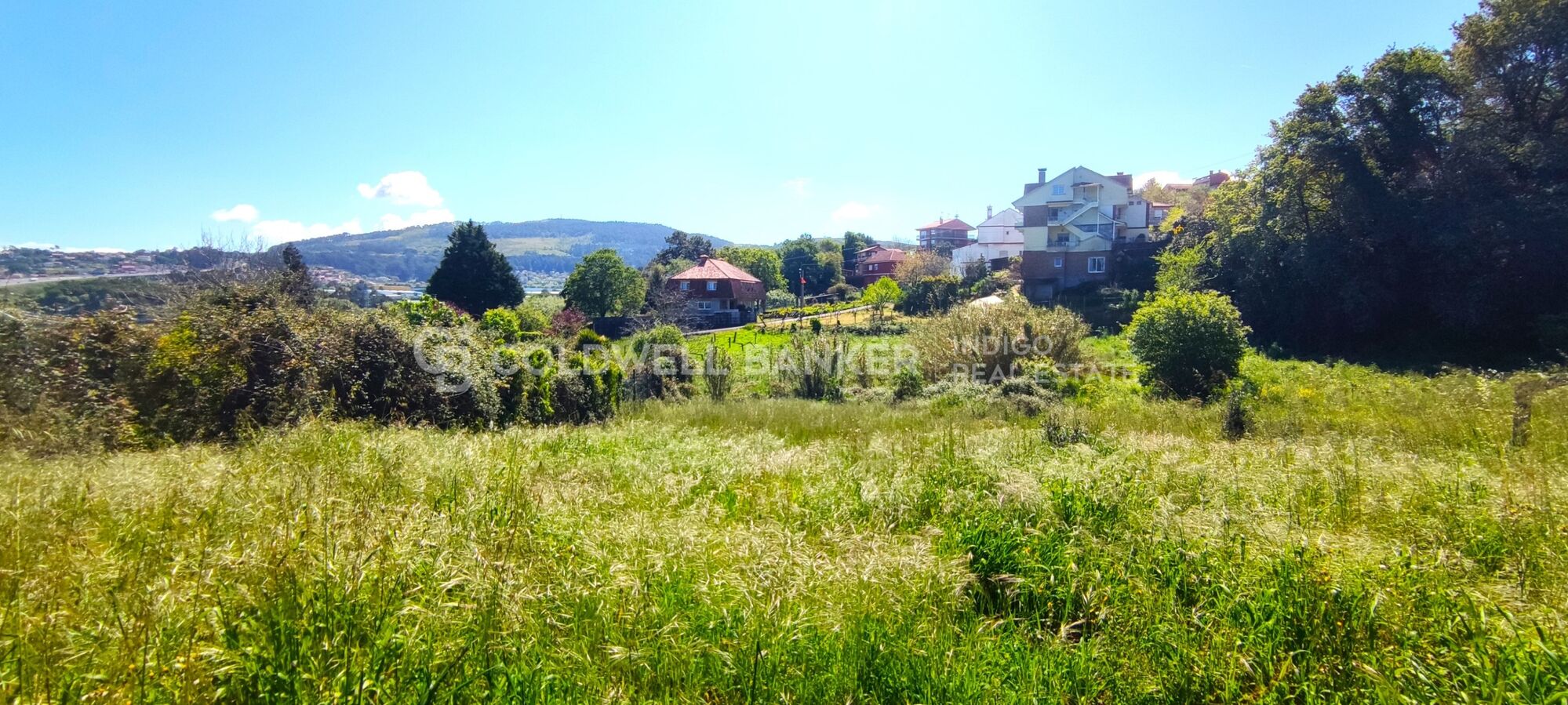 Exclusive Investment Opportunity in Vigo