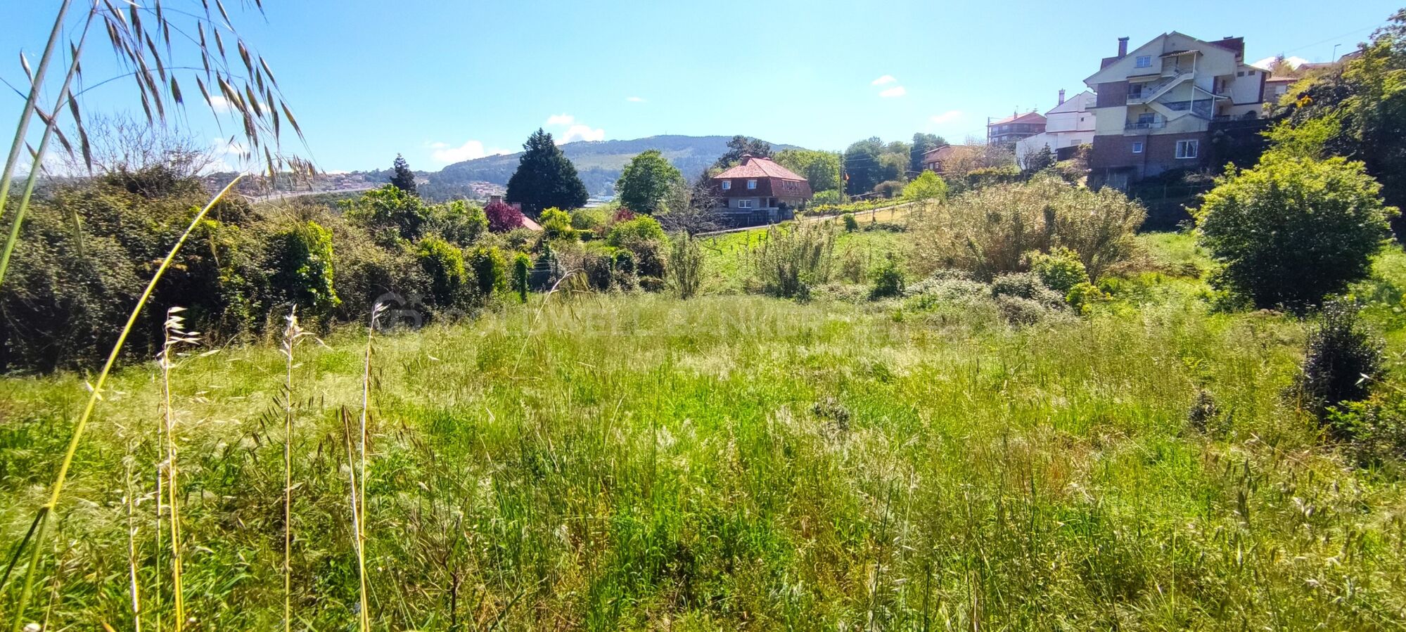 Opportunité d'Investissement Exclusive à Vigo