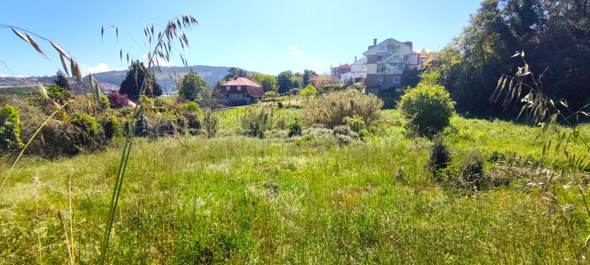 Opportunité d'Investissement Exclusive à Vigo