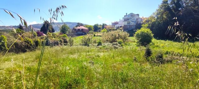 Exclusive Investment Opportunity in Vigo