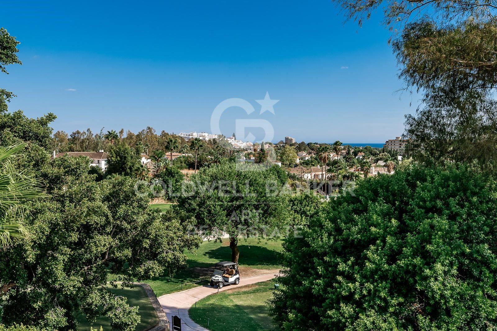Villa élégante à Nueva Andalucía, Marbella