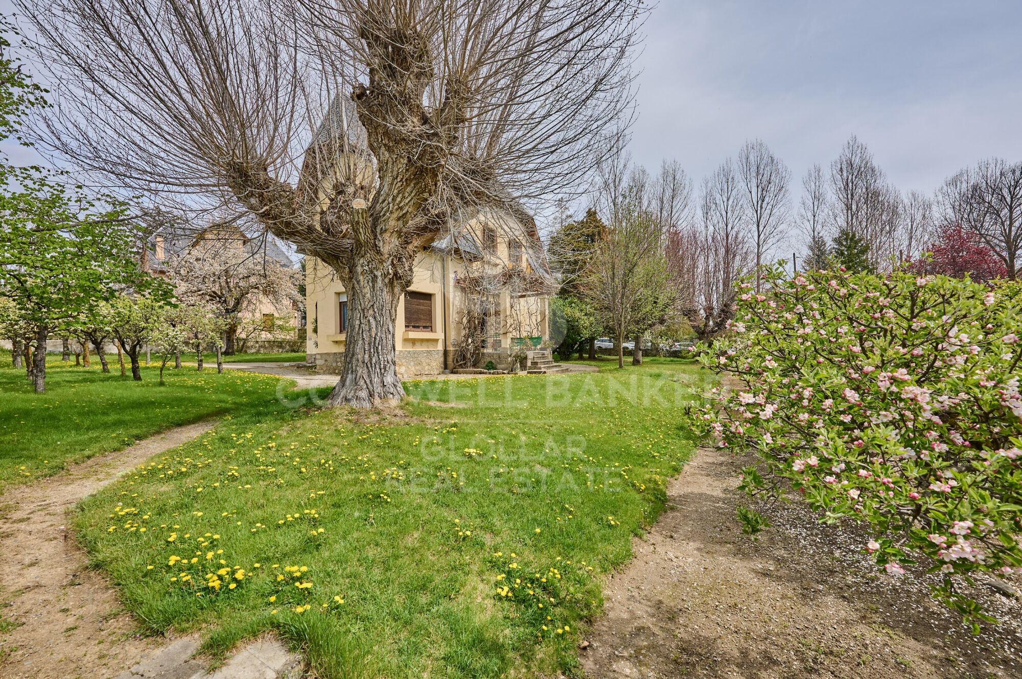 Maison 8 Pièces Acheter Puigcerdà