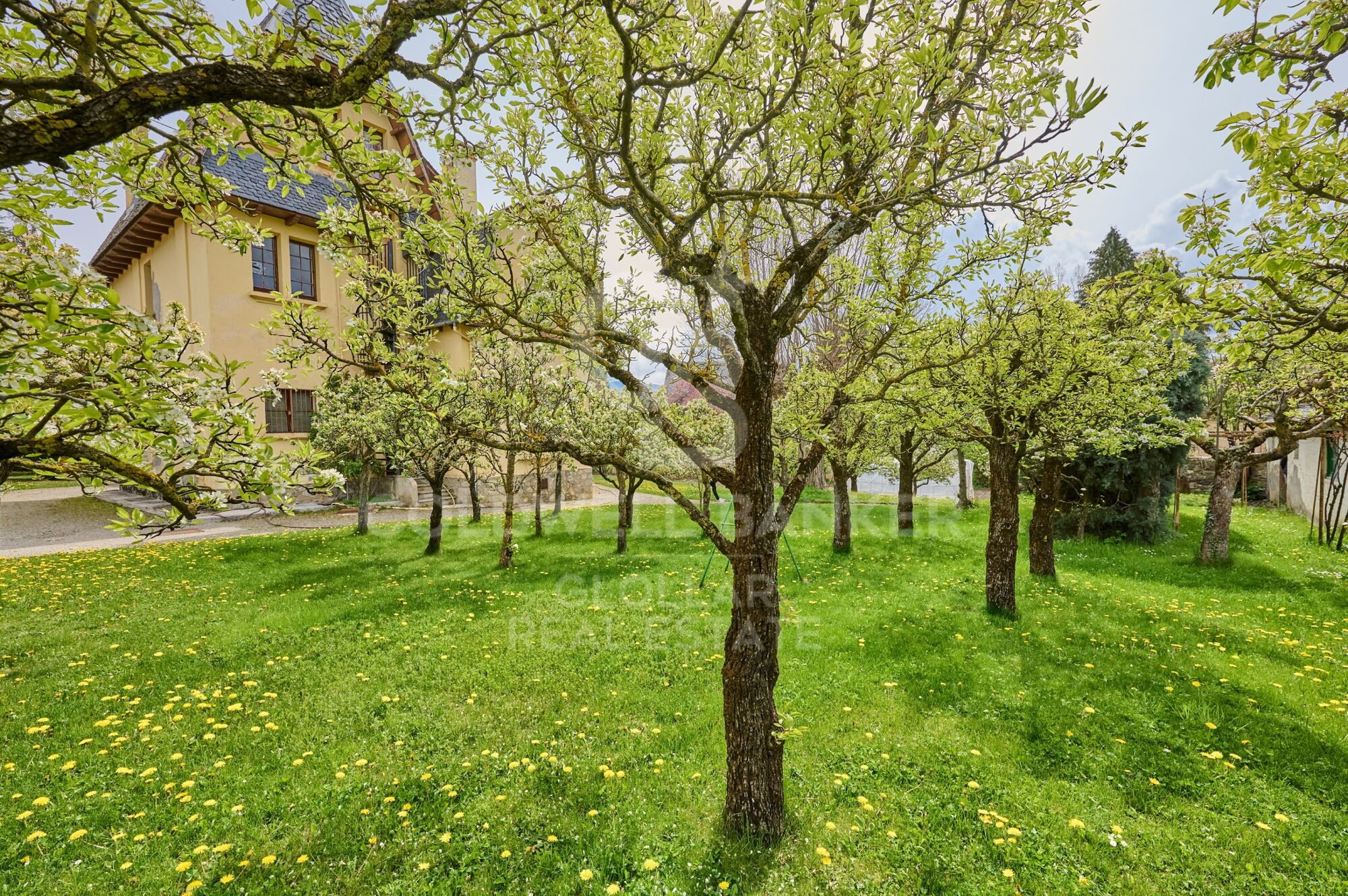 Maison 8 Pièces Acheter Puigcerdà