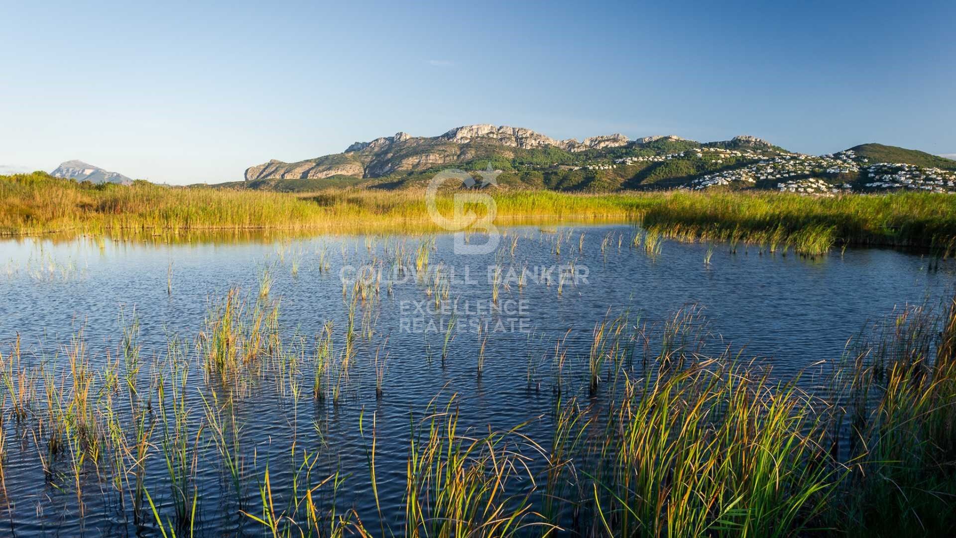 Bar-Restaurant in full operation + Apartment on the top floor in Oliva Nova