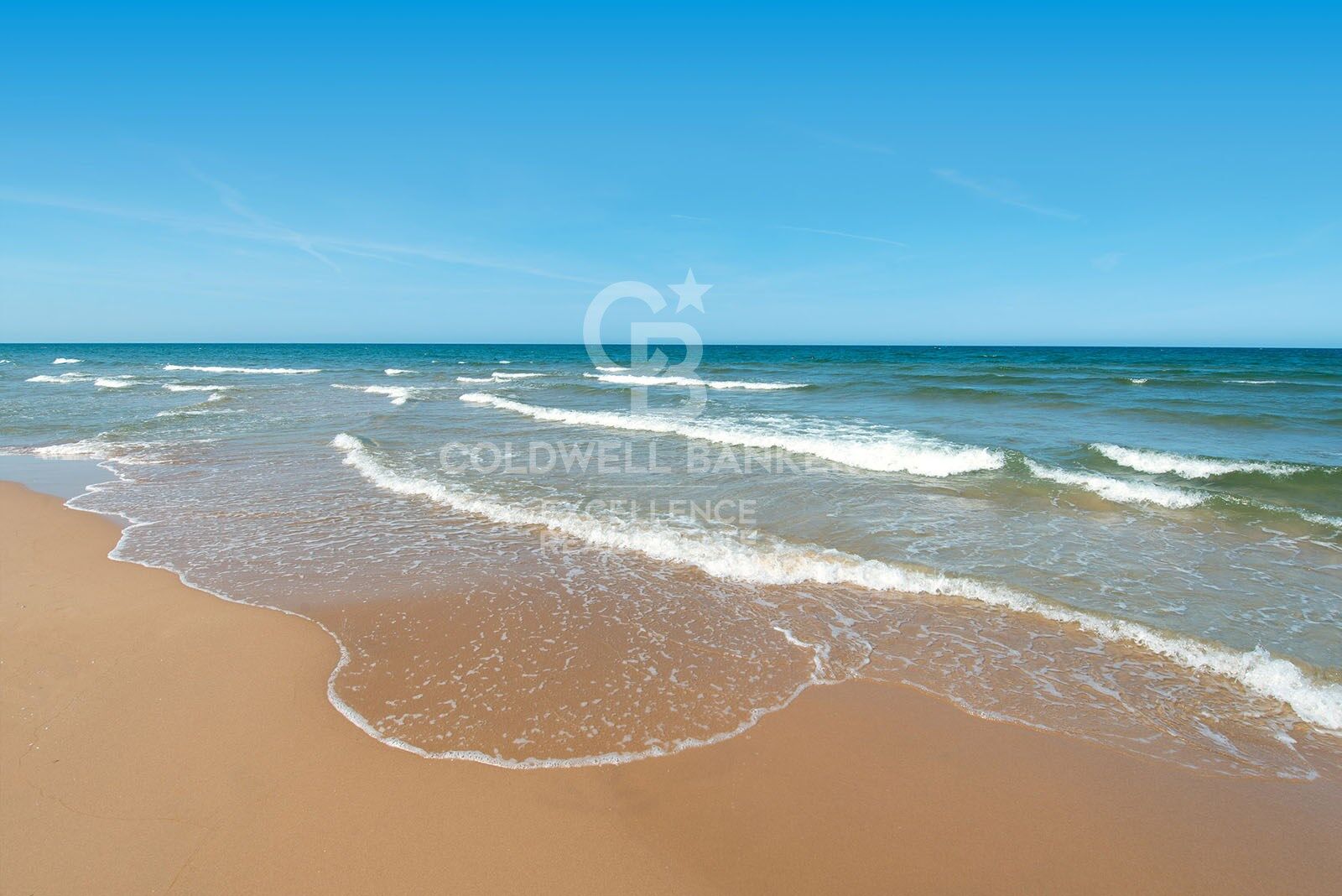 Business opportunity in Oliva Nova: bar-restaurant with residence just steps from the beach.