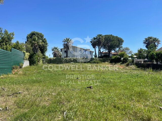 Building Plot with License