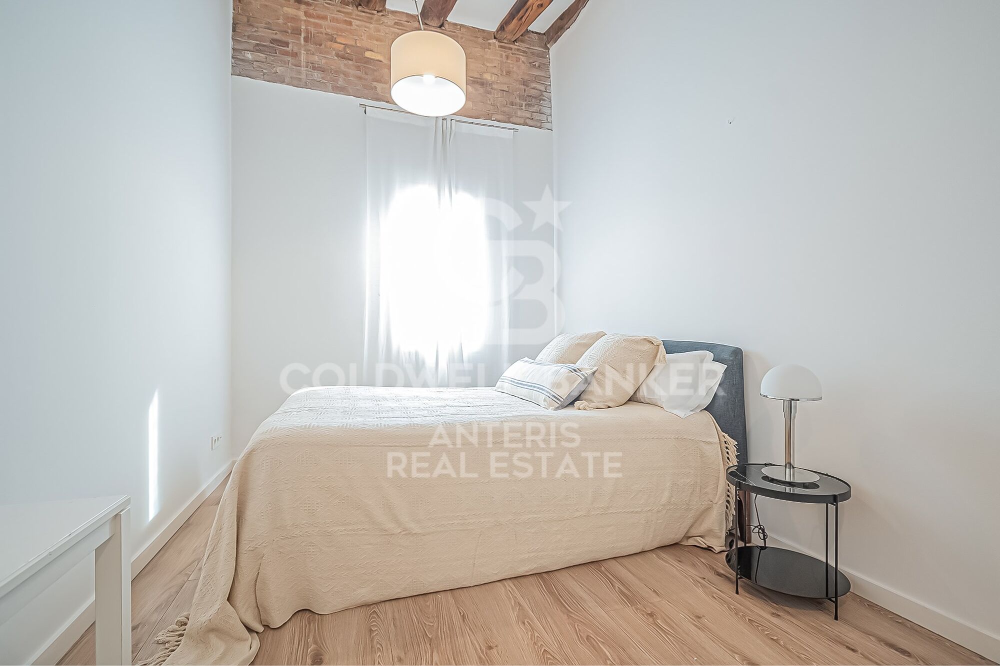 Spacious and bright apartment in a classical building