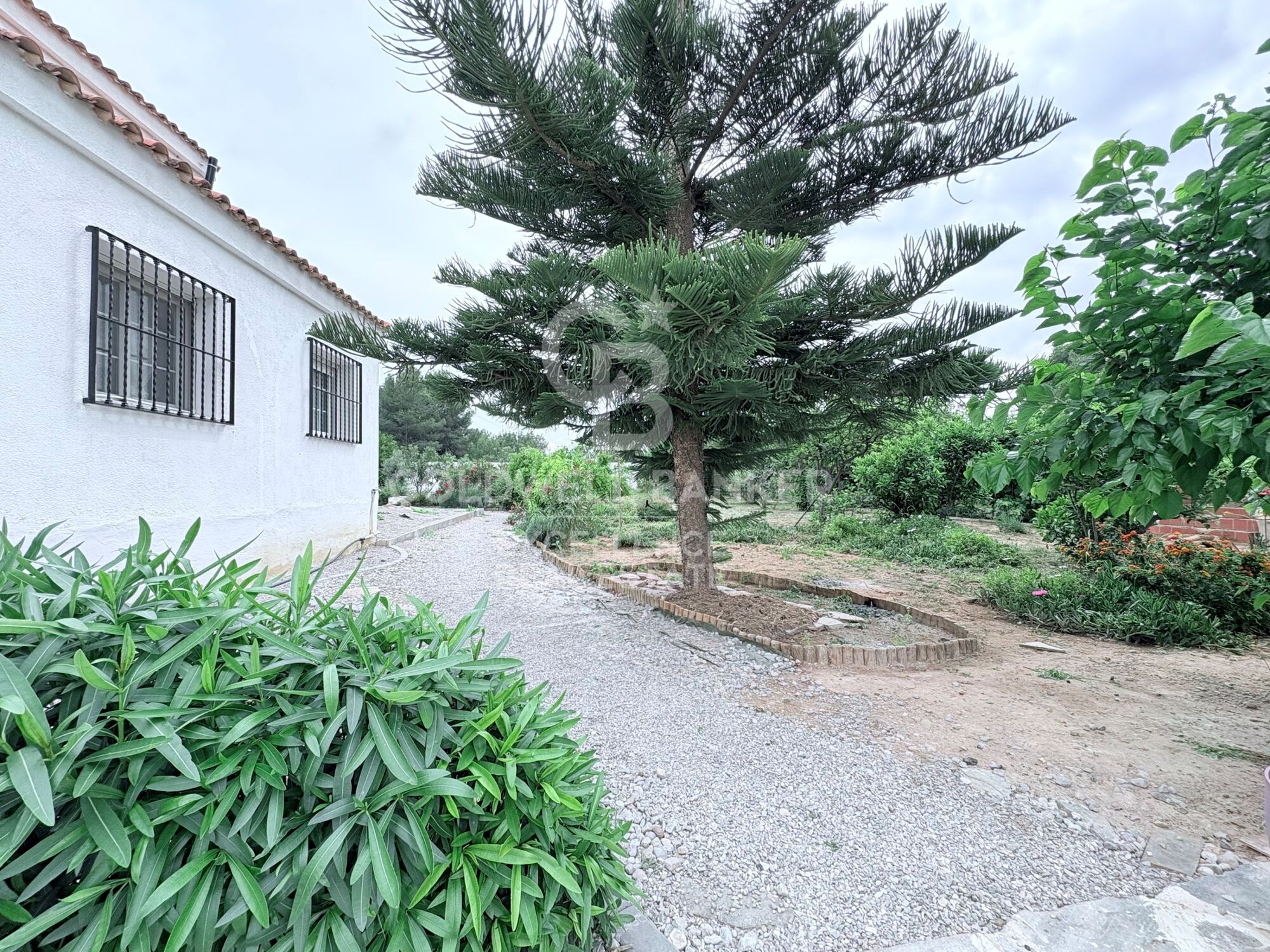 Charming Country Estate with 8,000 m² Plot, Swimming Pool and Three Independent Houses