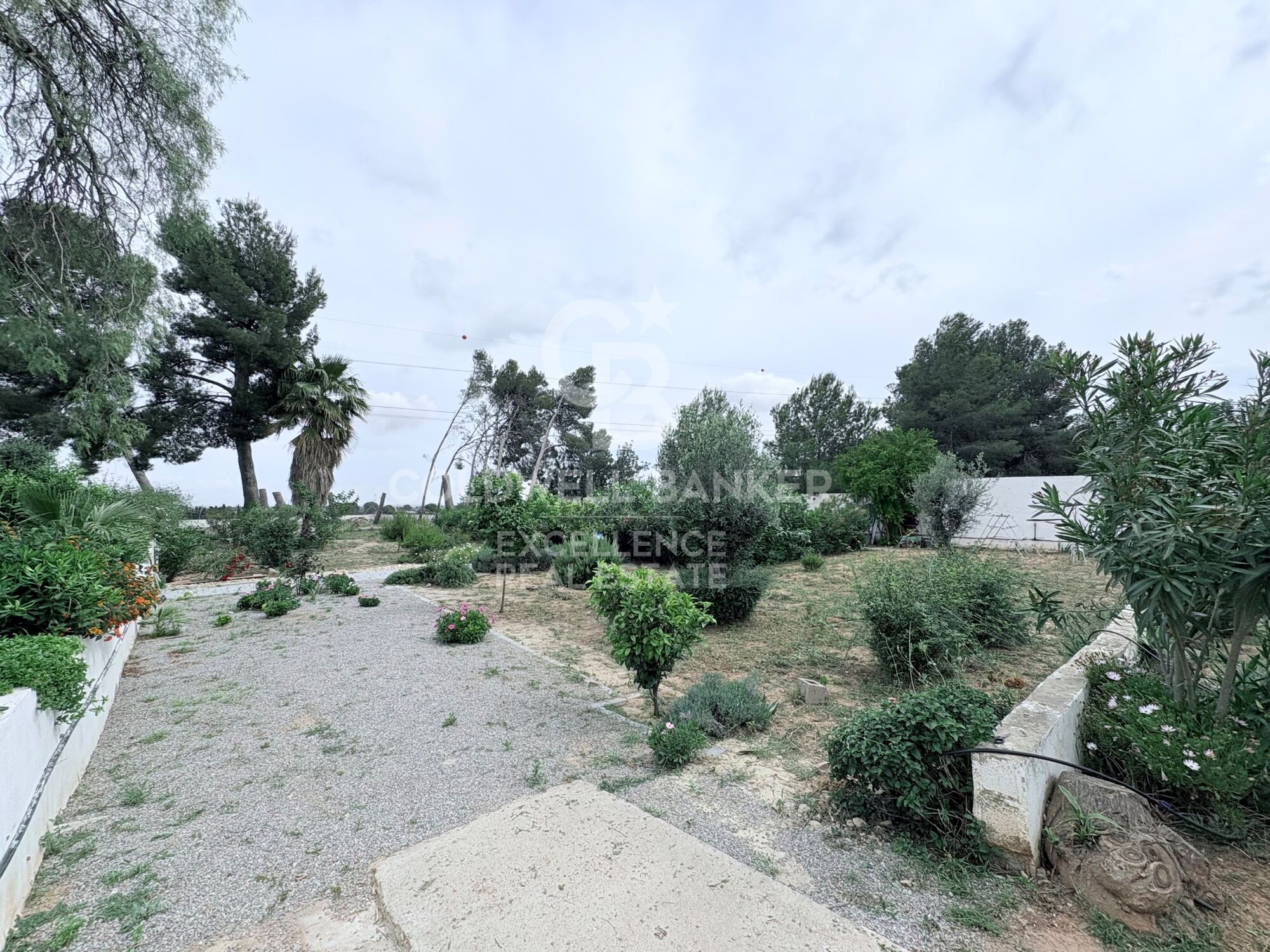 Charming Country Estate with 8,000 m² Plot, Swimming Pool and Three Independent Houses