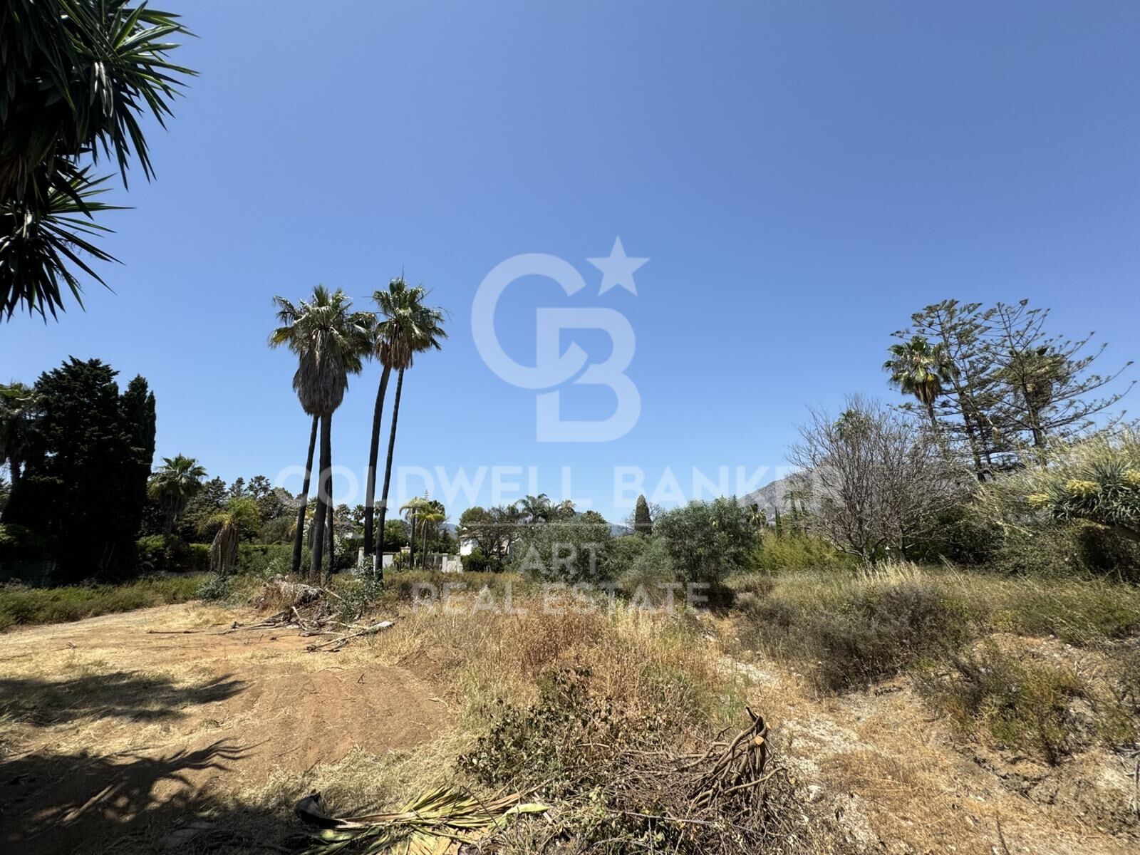 Last large plot in prestigious Atalaya de Río Verde, Nueva Andalucía, Marbella