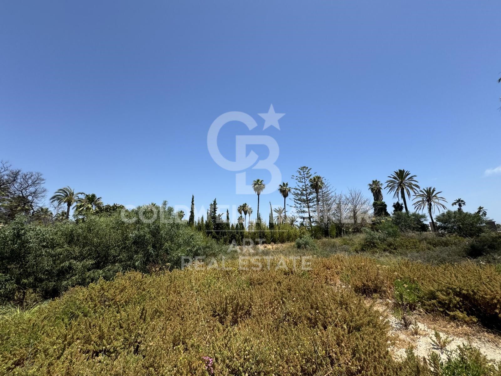 Last large plot in prestigious Atalaya de Río Verde, Nueva Andalucía, Marbella