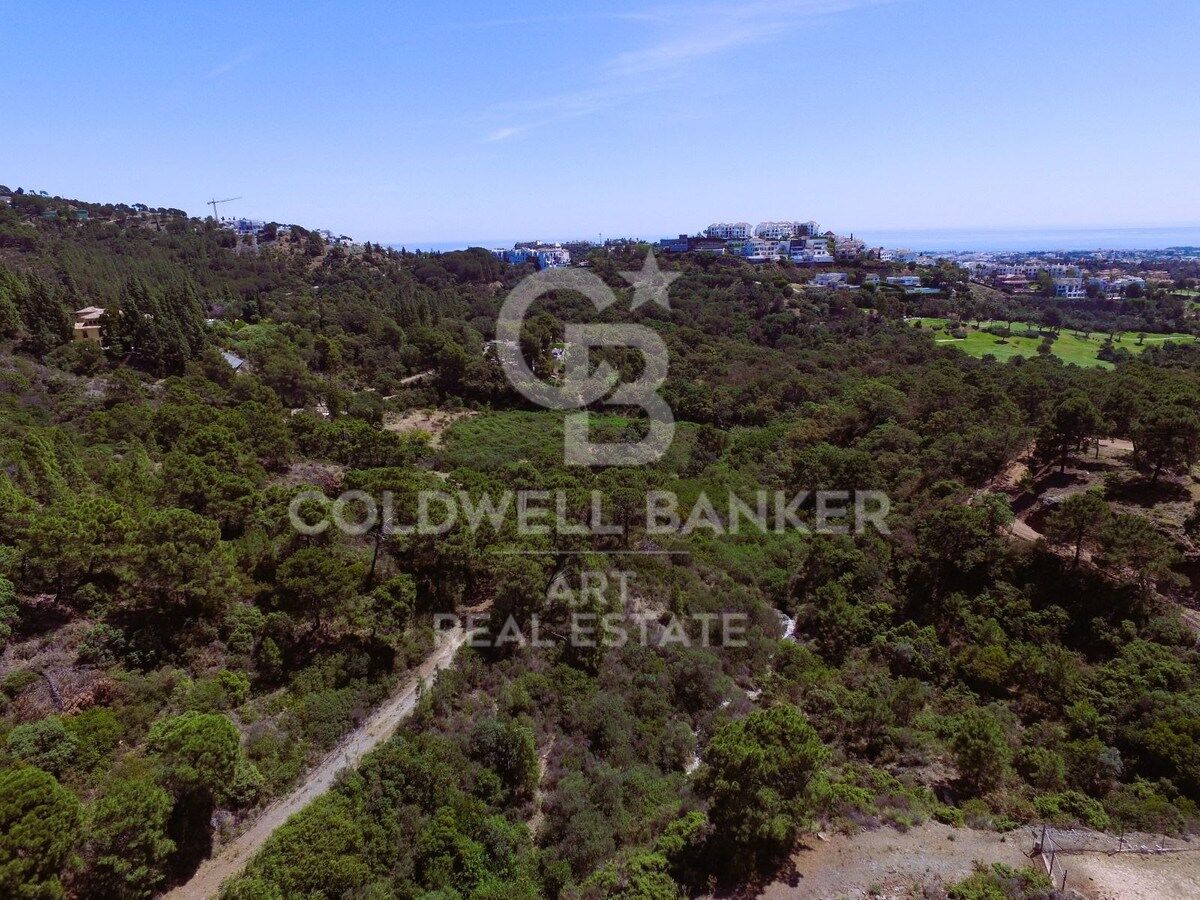 Exceptional large private estate in Benahavís