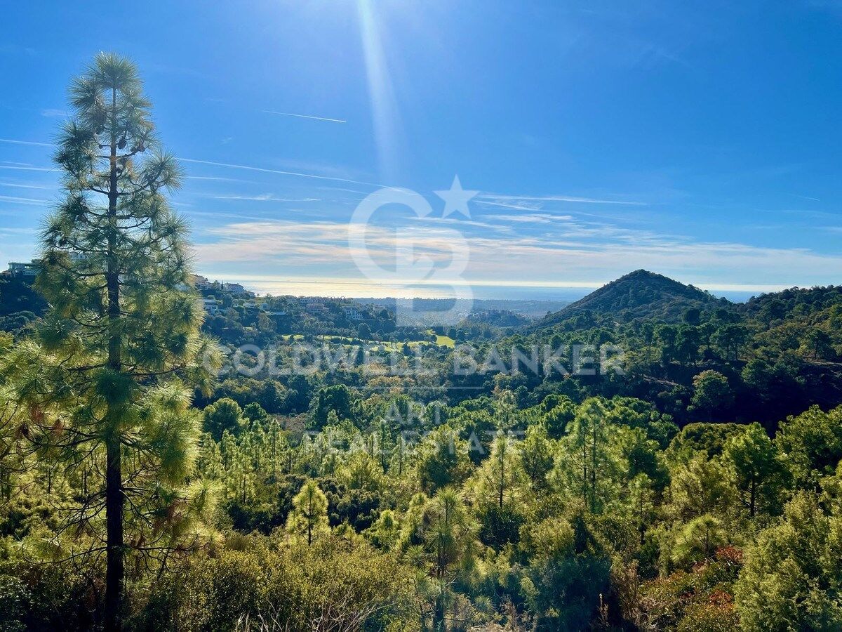 Exceptional large private estate in Benahavís