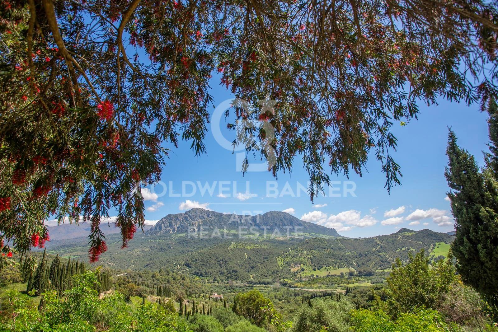 Encantadora villa rural en plena naturaleza - Gaucín, Ronda, Costa del Sol