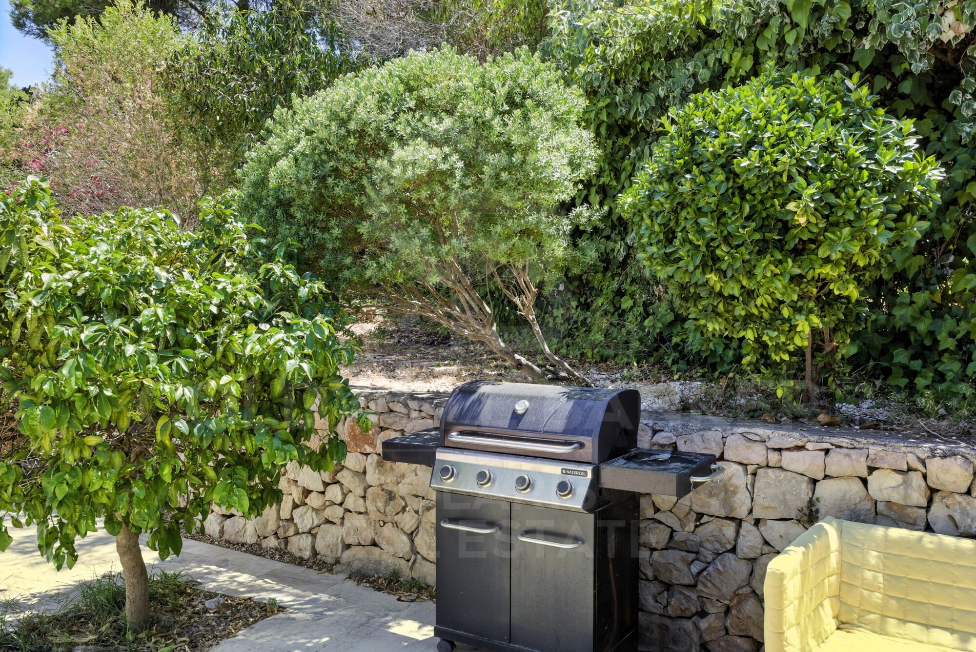 Spacious Renovated Villa with Separate Apartment, Pool, Solar Power & Fruit Garden