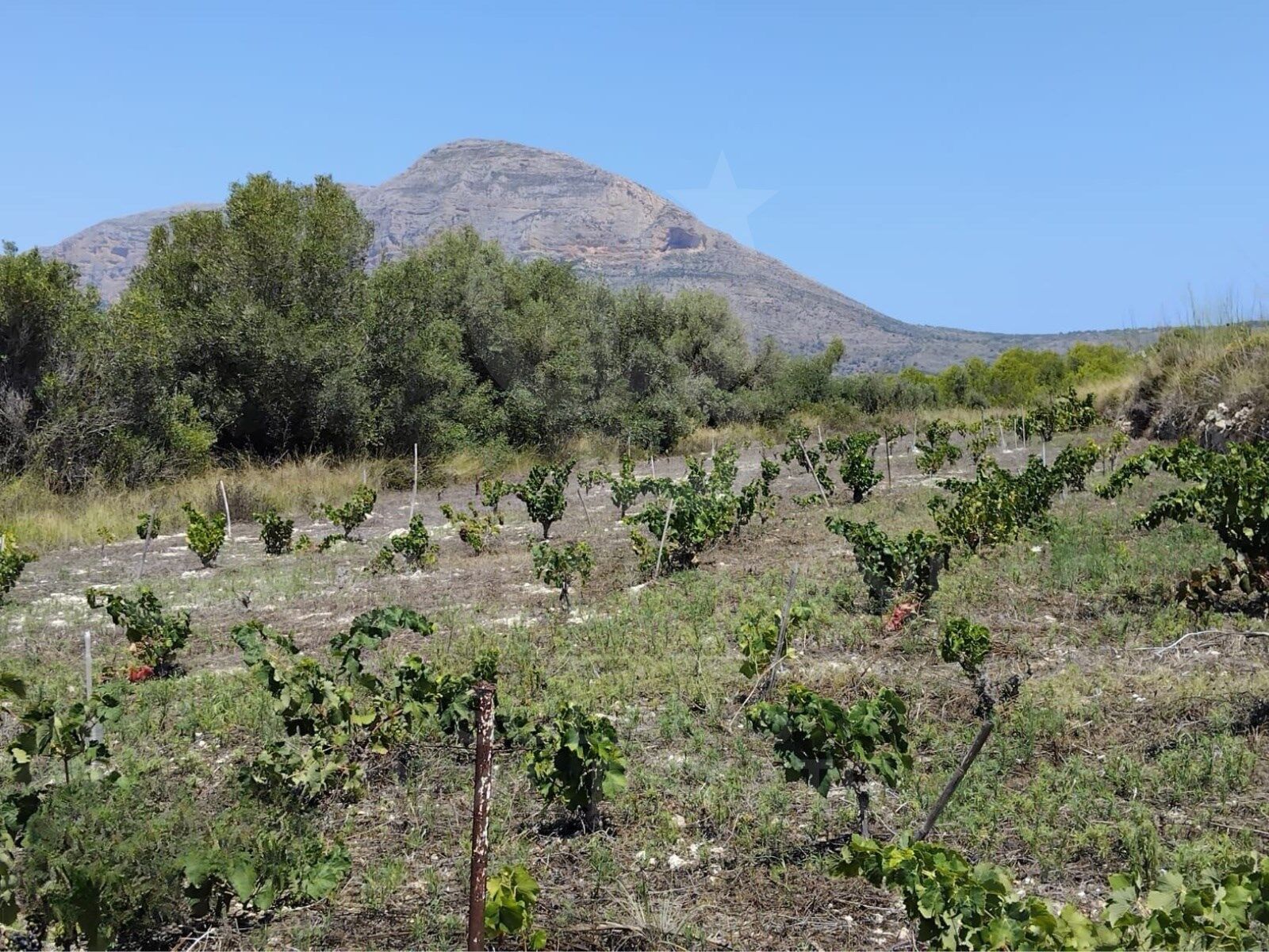 Terrain rustique au charme méditerranéen à Jávea Pour créer votre projet idéal